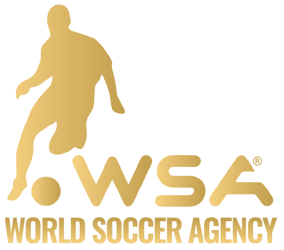 WSA Playmaker
